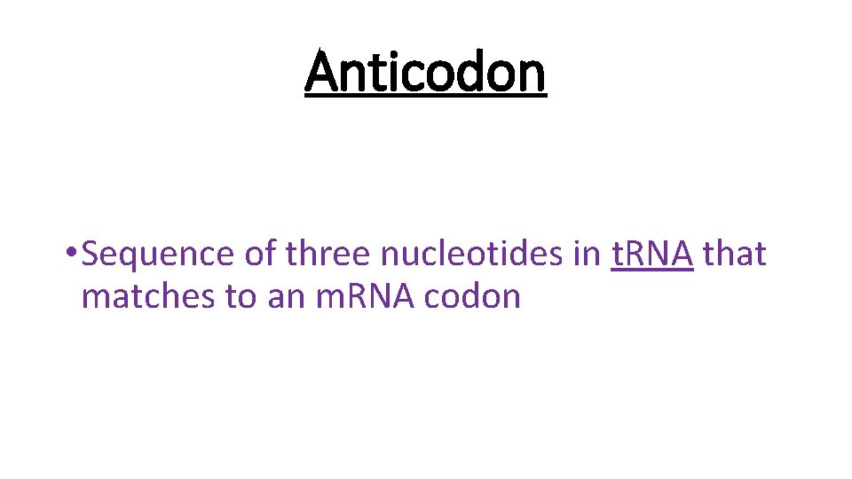 Anticodon • Sequence of three nucleotides in t. RNA that matches to an m.