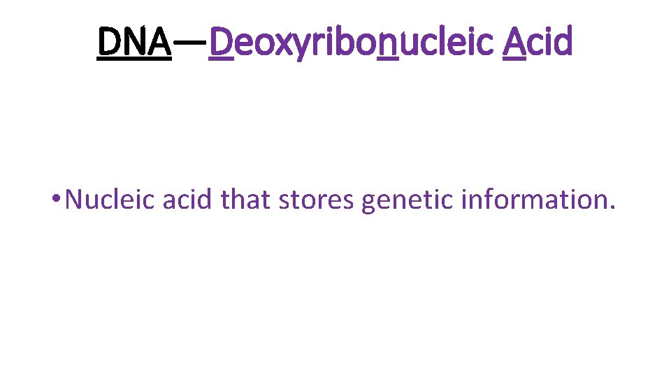 DNA—Deoxyribonucleic Acid • Nucleic acid that stores genetic information. 