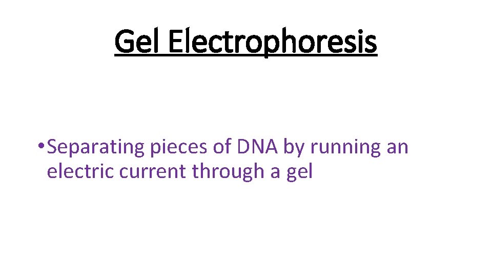 Gel Electrophoresis • Separating pieces of DNA by running an electric current through a
