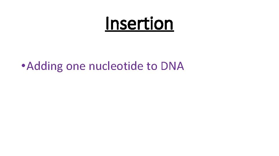 Insertion • Adding one nucleotide to DNA 