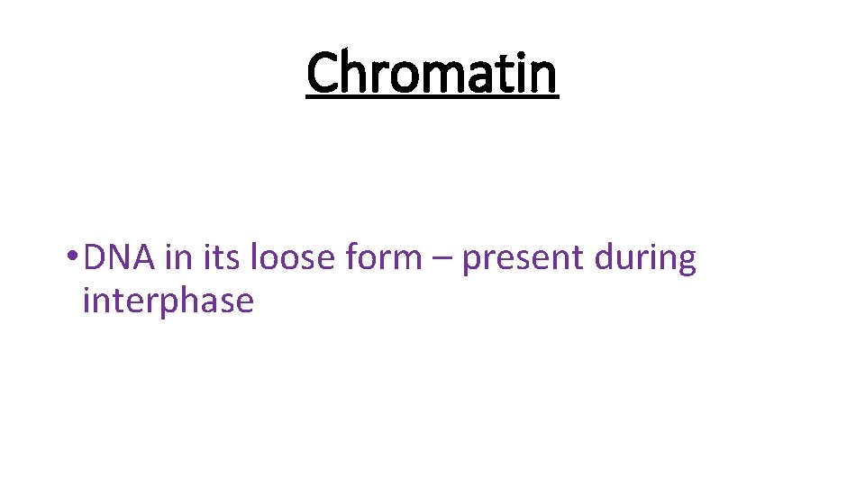 Chromatin • DNA in its loose form – present during interphase 
