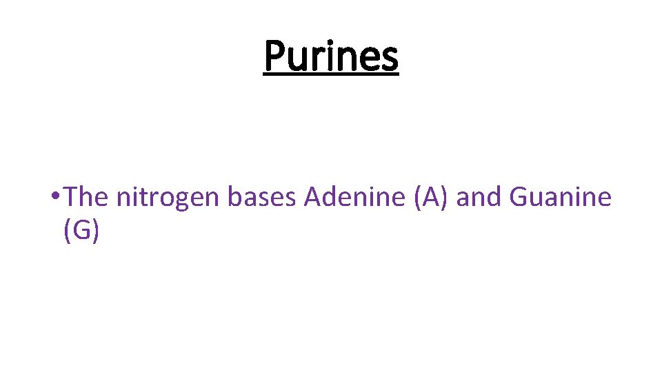 Purines • The nitrogen bases Adenine (A) and Guanine (G) 