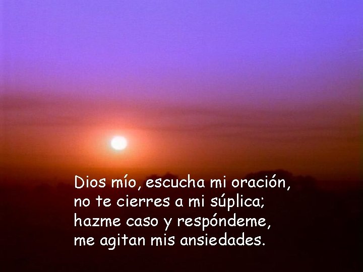 Dios mío, escucha mi oración, no te cierres a mi súplica; hazme caso y