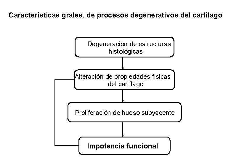 Características grales. de procesos degenerativos del cartílago Degeneración de estructuras histológicas Alteración de propiedades