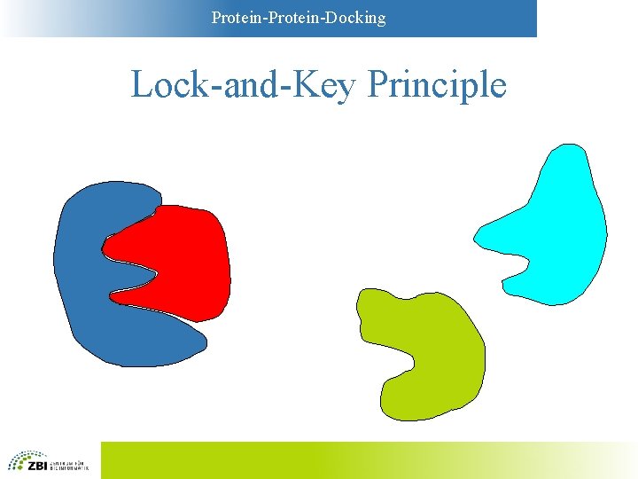 Protein-Docking Lock-and-Key Principle 