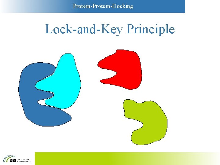 Protein-Docking Lock-and-Key Principle 