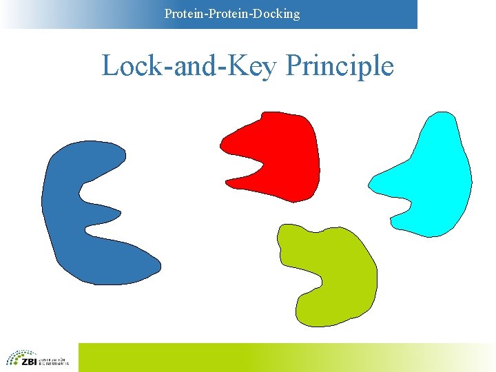 Protein-Docking Lock-and-Key Principle 