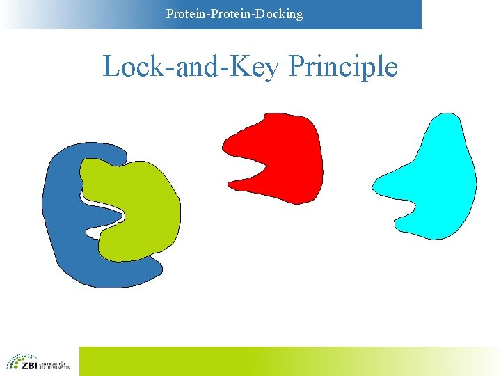Protein-Docking Lock-and-Key Principle 