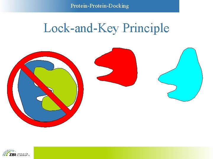 Protein-Docking Lock-and-Key Principle 