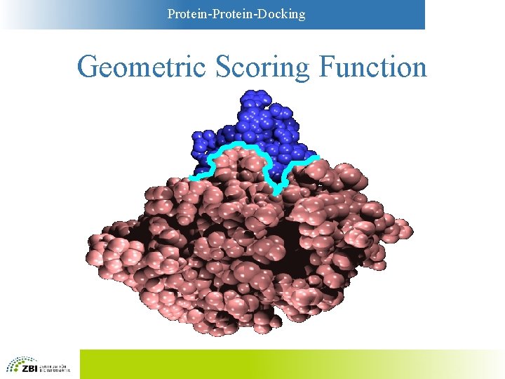 Protein-Docking Geometric Scoring Function 
