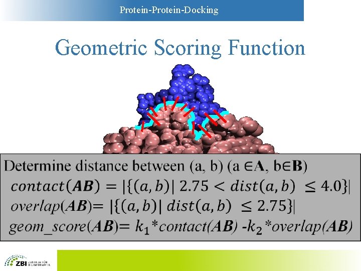 Protein-Docking Geometric Scoring Function • 