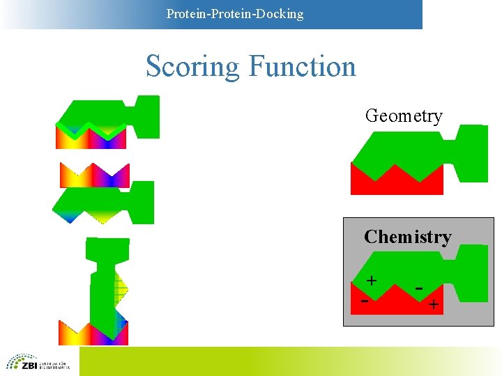 Protein-Docking Scoring Function Geometry Chemistry + - - + 