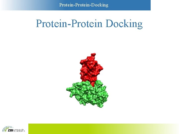 Protein-Docking Protein-Protein Docking 