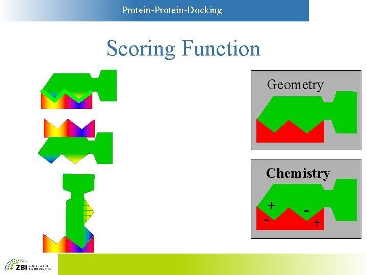 Protein-Docking Scoring Function Geometry Chemistry + - - + 