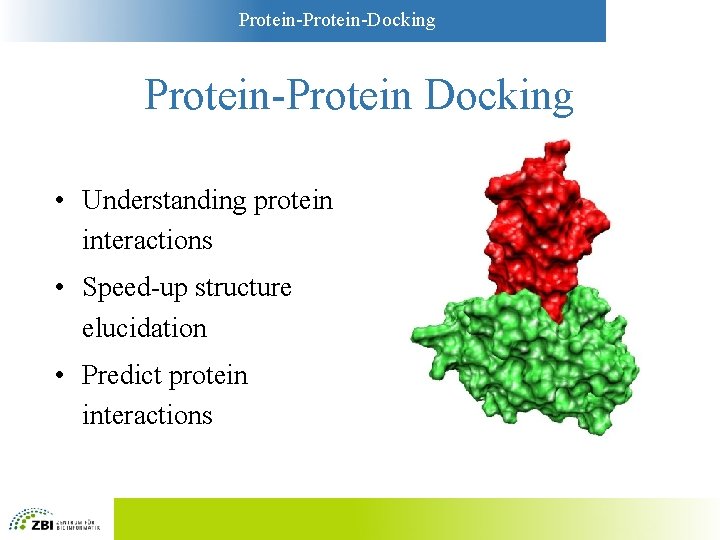 Protein-Docking Protein-Protein Docking • Understanding protein interactions • Speed-up structure elucidation • Predict protein