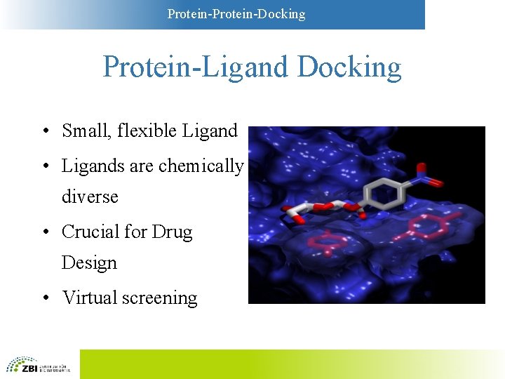 Protein-Docking Protein-Ligand Docking • Small, flexible Ligand • Ligands are chemically diverse • Crucial