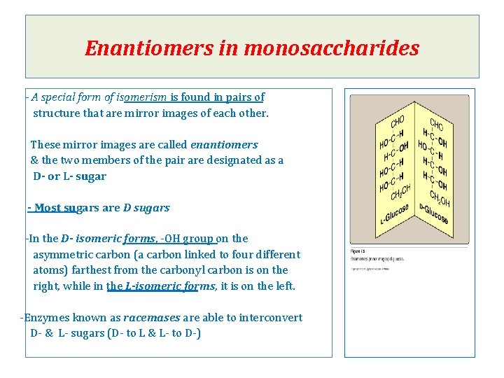 Enantiomers in monosaccharides - A special form of isomerism is found in pairs of