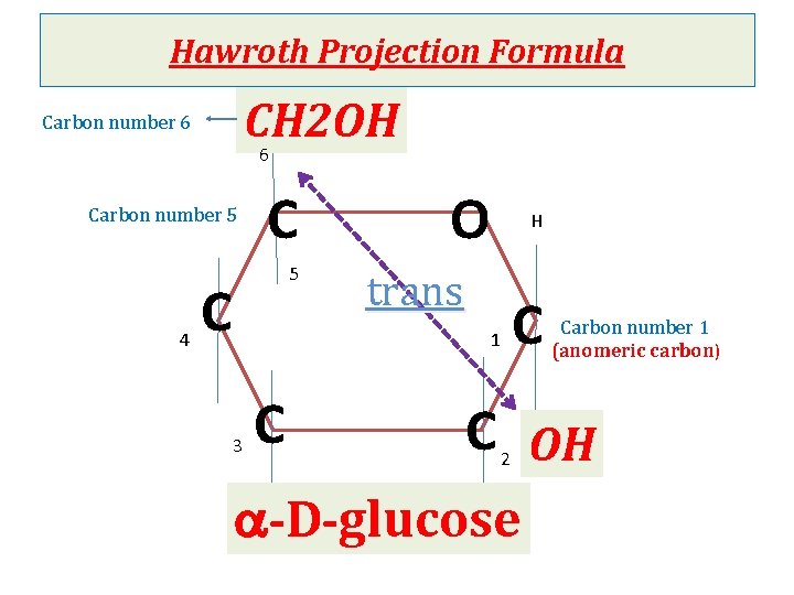 Hawroth Projection Formula CH 2 OH 6 Carbon number 5 4 C 5 C