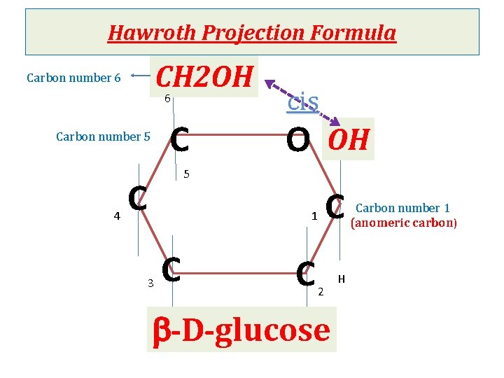 Hawroth Projection Formula CH 2 OH 6 Carbon number 6 C Carbon number 5