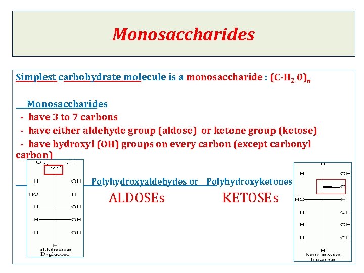 Monosaccharides Simplest carbohydrate molecule is a monosaccharide : (C-H 2 -0)n Monosaccharides - have