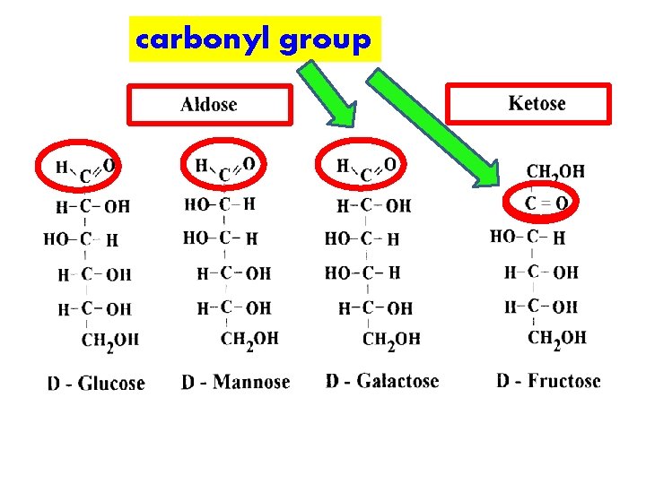 carbonyl group 