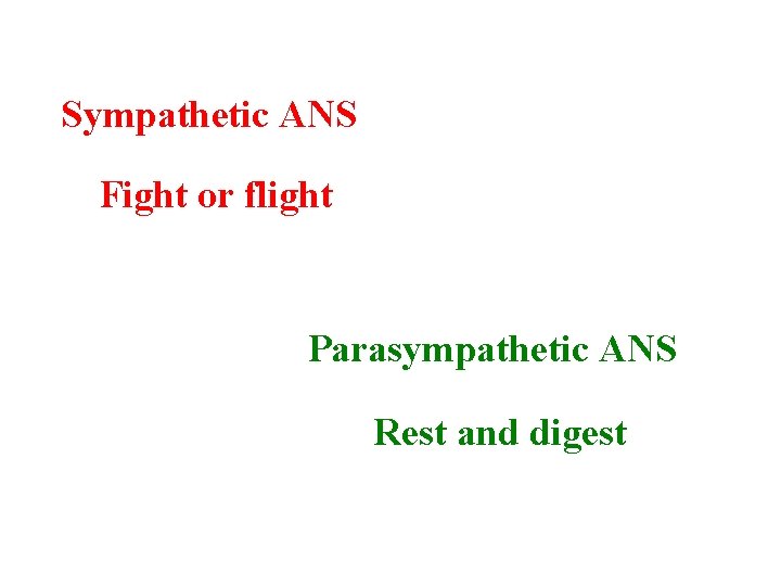 Sympathetic ANS Fight or flight Parasympathetic ANS Rest and digest 