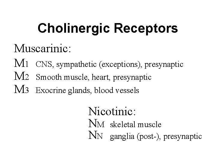 Cholinergic Receptors Muscarinic: M 1 CNS, sympathetic (exceptions), presynaptic M 2 Smooth muscle, heart,
