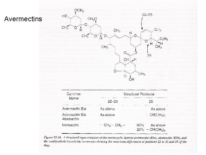 Avermectins 