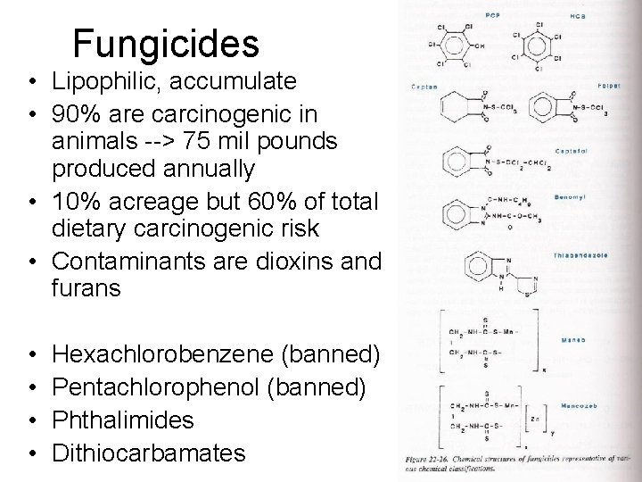 Fungicides • Lipophilic, accumulate • 90% are carcinogenic in animals --> 75 mil pounds