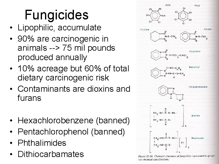 Fungicides • Lipophilic, accumulate • 90% are carcinogenic in animals --> 75 mil pounds