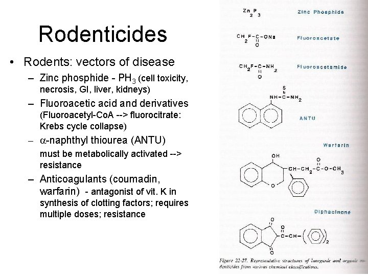Rodenticides • Rodents: vectors of disease – Zinc phosphide - PH 3 (cell toxicity,