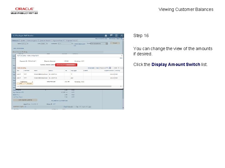 Viewing Customer Balances Step 16 You can change the view of the amounts if