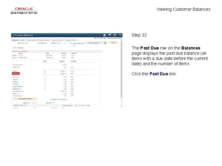 Viewing Customer Balances Step 32 The Past Due row on the Balances page displays