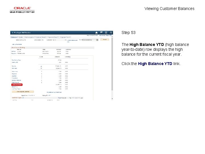 Viewing Customer Balances Step 53 The High Balance YTD (high balance year-to-date) row displays