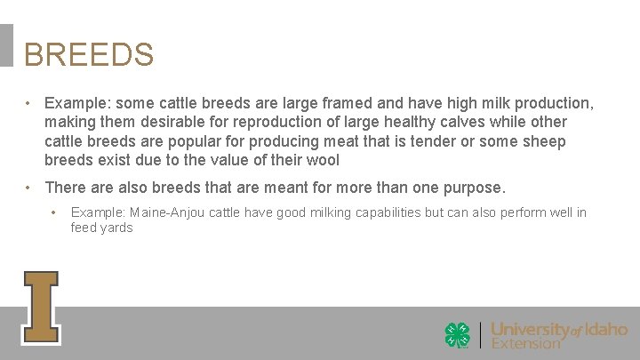 BREEDS • Example: some cattle breeds are large framed and have high milk production,