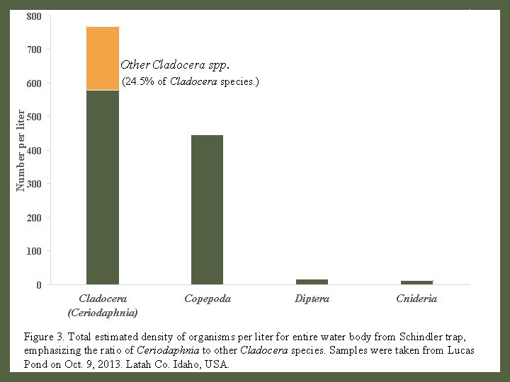 800 700 Other Cladocera spp. Number per liter 600 (24. 5% of Cladocera species.