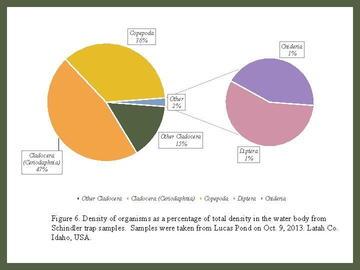 Copepoda 36% Cnideria 1% Other 2% Other Cladocera 15% Diptera 1% Cladocera (Ceriodaphnia) 47%
