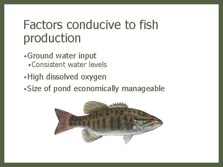 Factors conducive to fish production • Ground water input • Consistent • High water