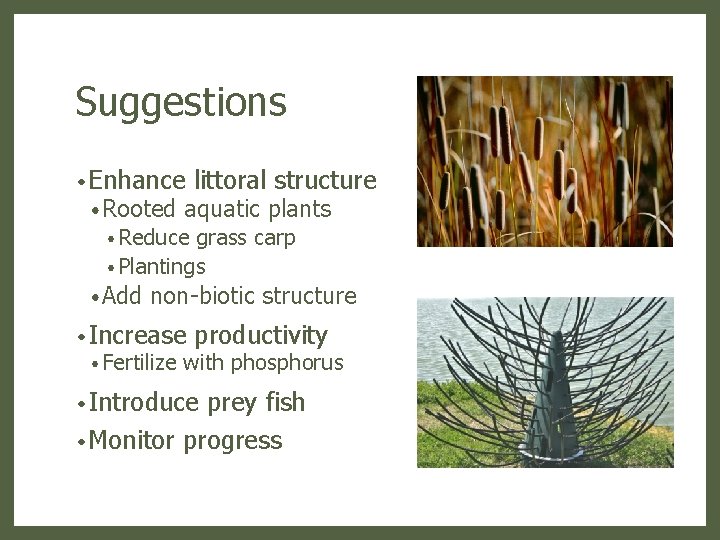 Suggestions • Enhance • Rooted littoral structure aquatic plants • Reduce grass carp •