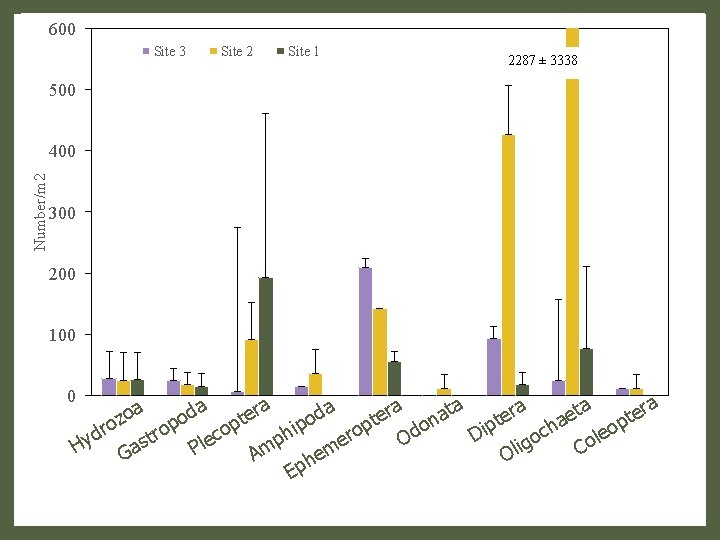 600 Site 3 Site 2 Site 1 2287 ± 3338 500 Number/m 2 400