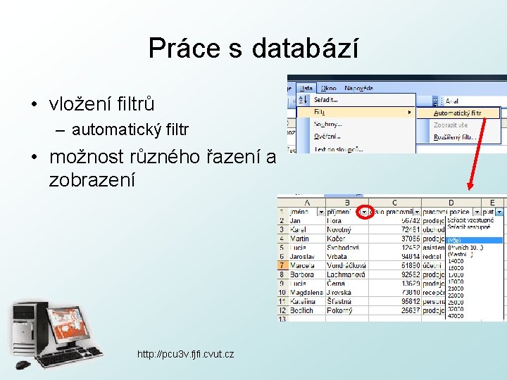 Práce s databází • vložení filtrů – automatický filtr • možnost různého řazení a