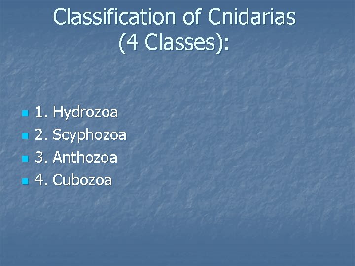 Classification of Cnidarias (4 Classes): n n 1. Hydrozoa 2. Scyphozoa 3. Anthozoa 4.