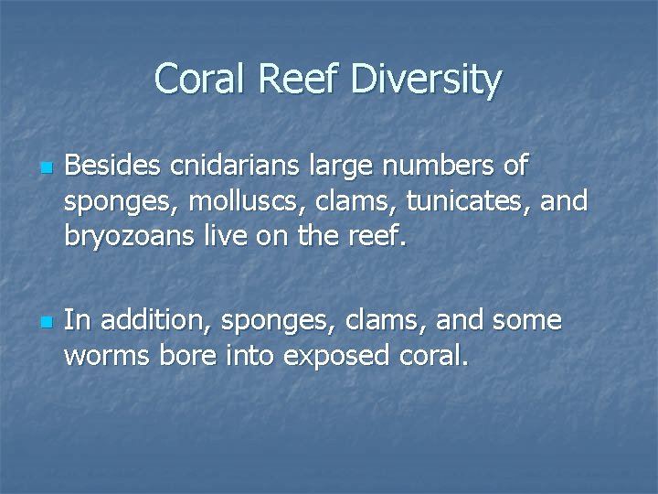 Coral Reef Diversity n n Besides cnidarians large numbers of sponges, molluscs, clams, tunicates,
