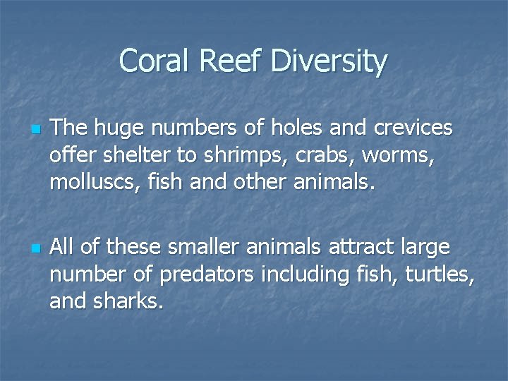 Coral Reef Diversity n n The huge numbers of holes and crevices offer shelter