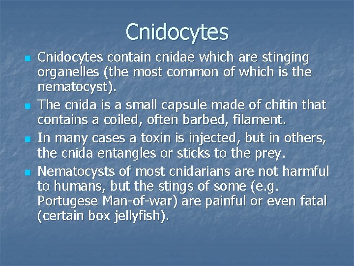 Cnidocytes n n Cnidocytes contain cnidae which are stinging organelles (the most common of