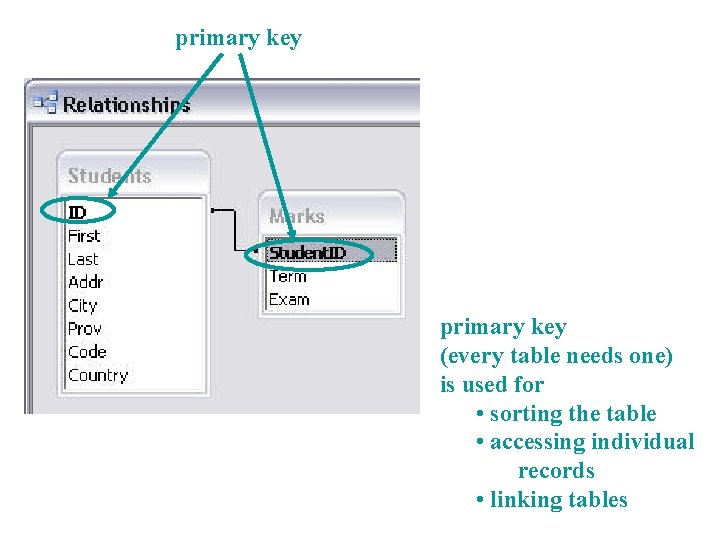 primary key (every table needs one) is used for • sorting the table •