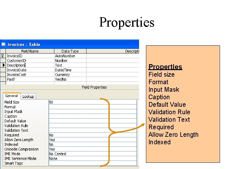 Properties Field size Format Input Mask Caption Default Value Validation Rule Validation Text Required