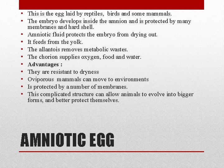  • This is the egg laid by reptiles, birds and some mammals. •