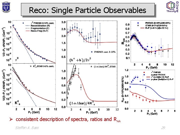 Reco: Single Particle Observables Ø consistent description of spectra, ratios and RAA Steffen A.