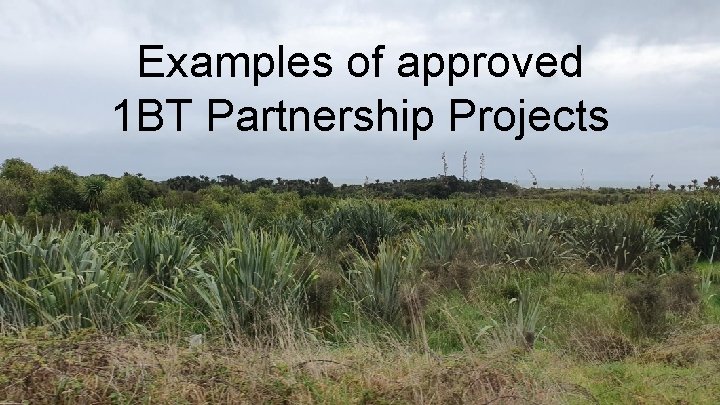 Examples of approved 1 BT Partnership Projects 